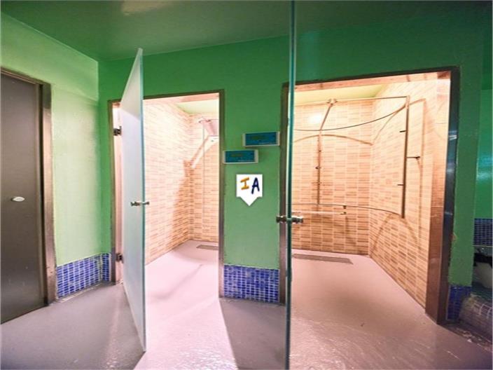 Premise for Sale in Granada