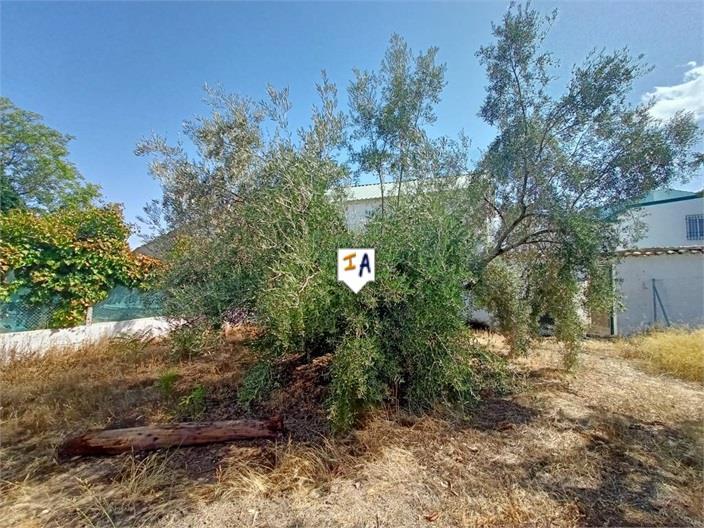 Villa en Venta en Cabra