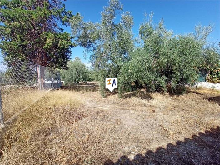 Villa en Venta en Cabra