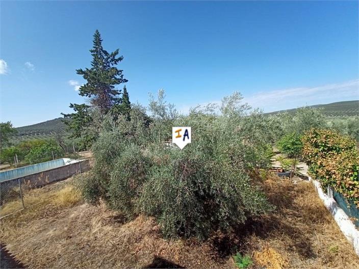 Villa en Venta en Cabra