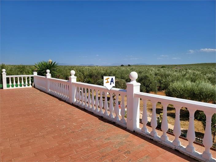 Villa for Sale in Puente Genil