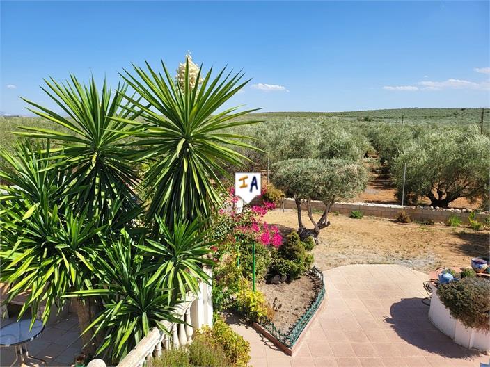 Villa for Sale in Puente Genil