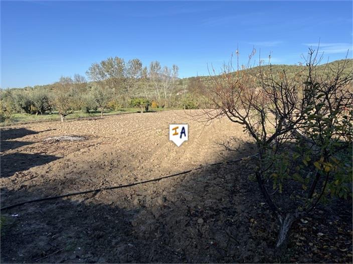Villa for Sale in Castillo de Locubín