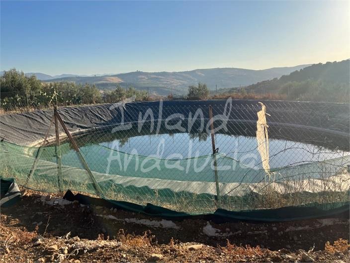 Plot for Sale in Periana