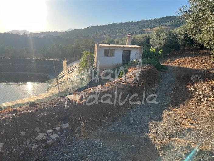Plot for Sale in Periana