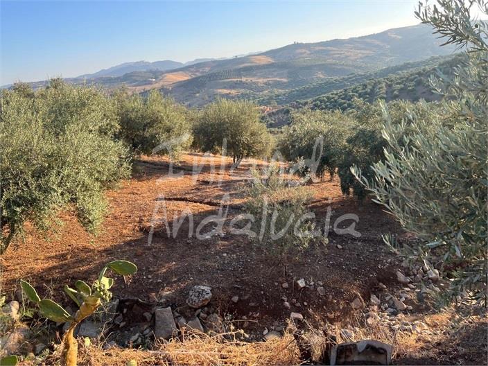 Plot for Sale in Periana