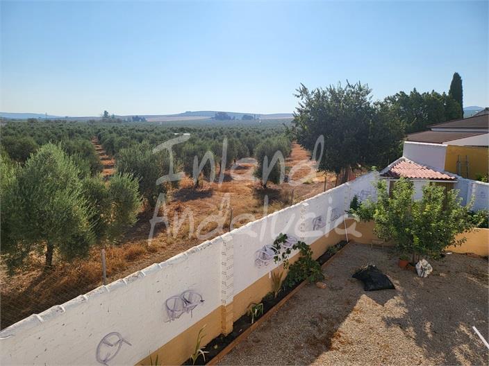 Casa en Venta en Antequera