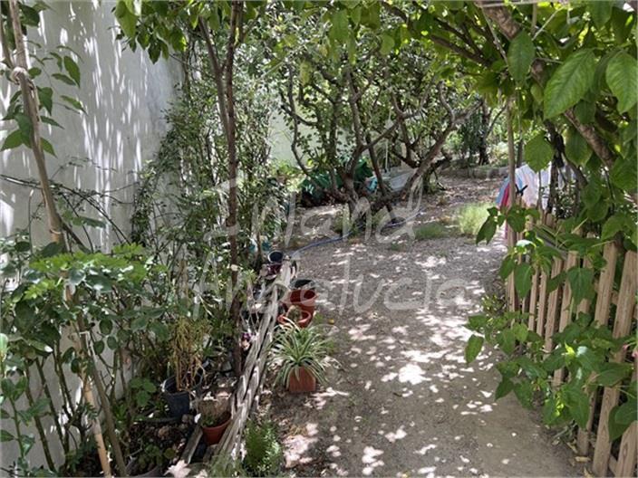 Parcela en Venta en Moclín