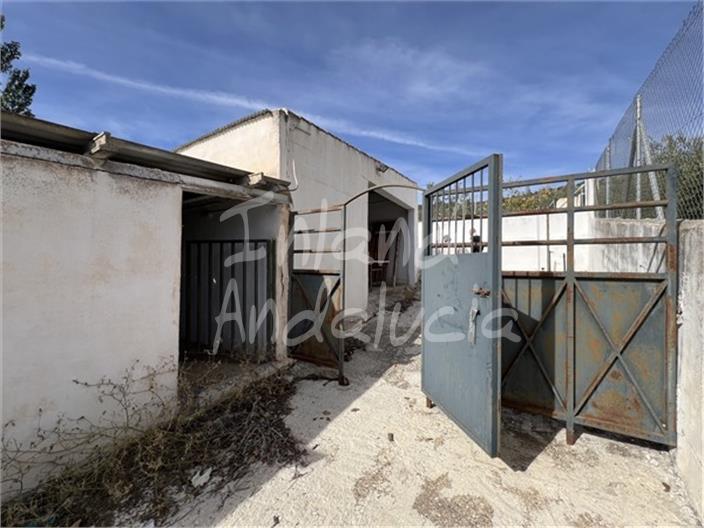 Premise for Sale in Montefrío