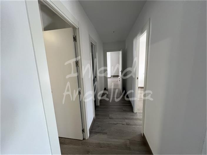 Premise for Sale in Montefrío
