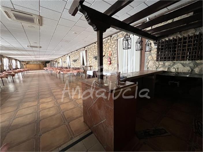 Premise for Sale in Montefrío