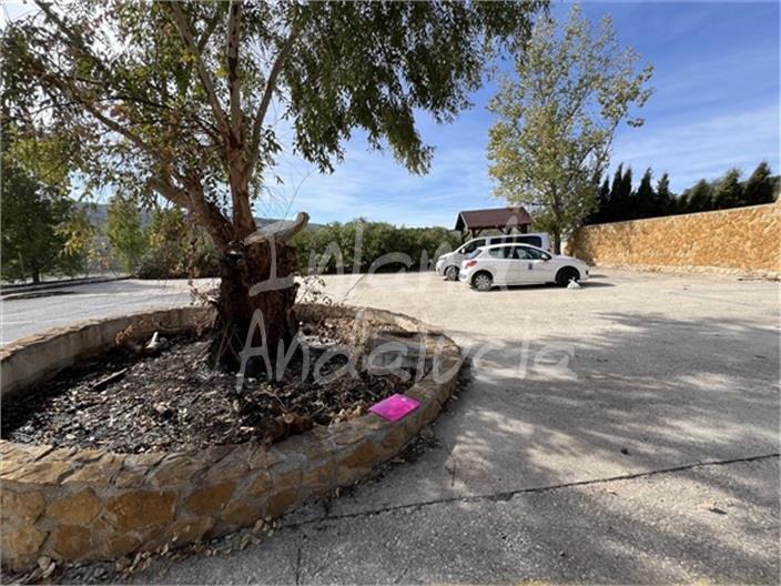 Premise for Sale in Montefrío