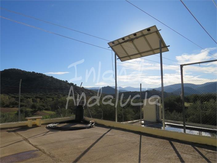 Chalet for Sale in Martos