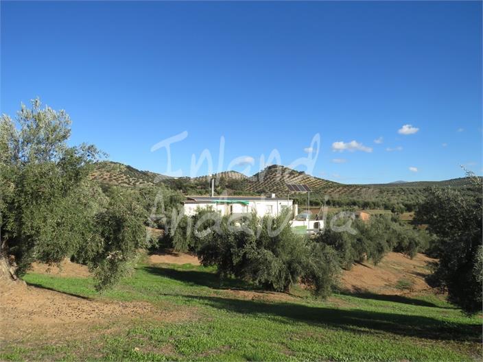 Chalet for Sale in Martos