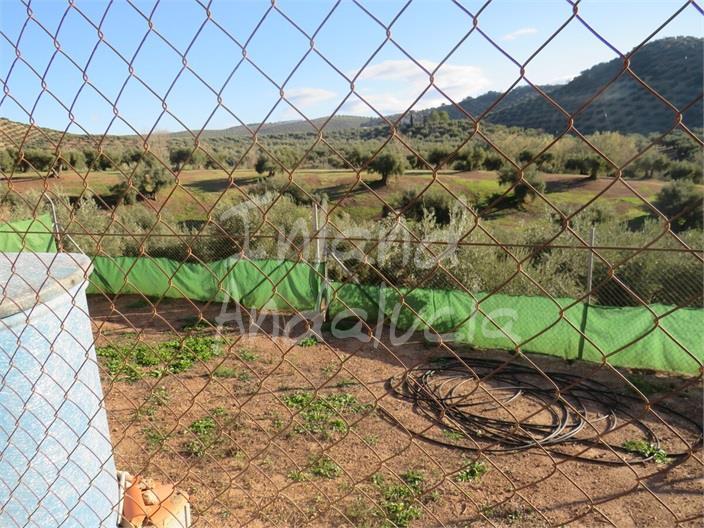 Chalet for Sale in Martos