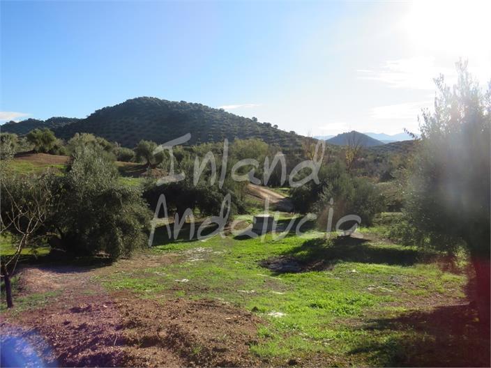 Chalet for Sale in Martos