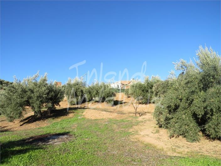 Chalet for Sale in Martos