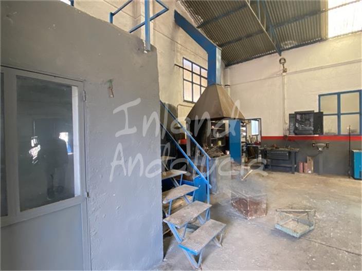 Premise for Sale in Íllora