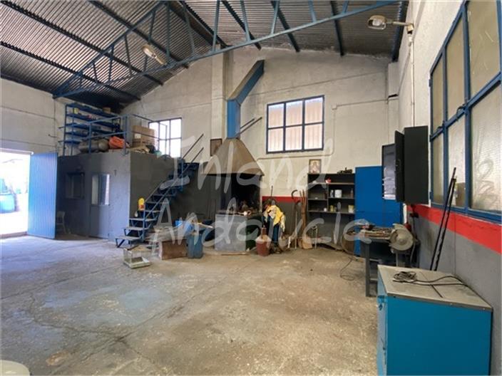 Premise for Sale in Íllora
