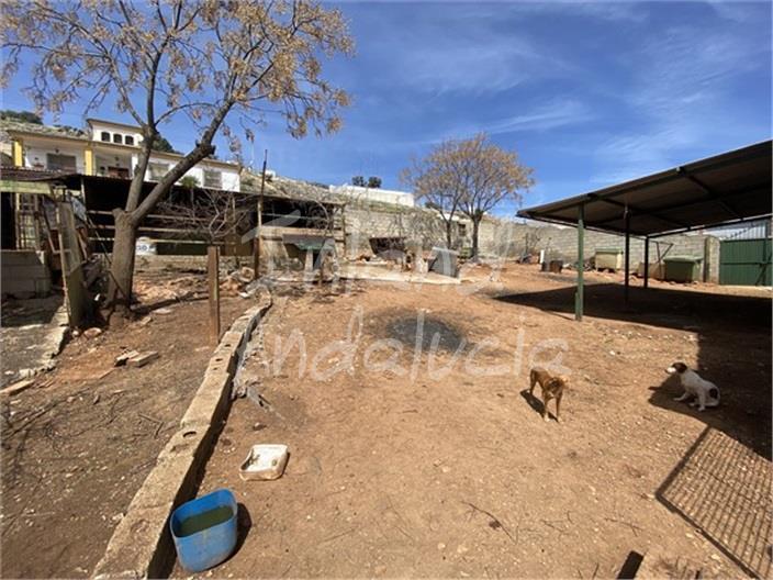 Premise for Sale in Íllora