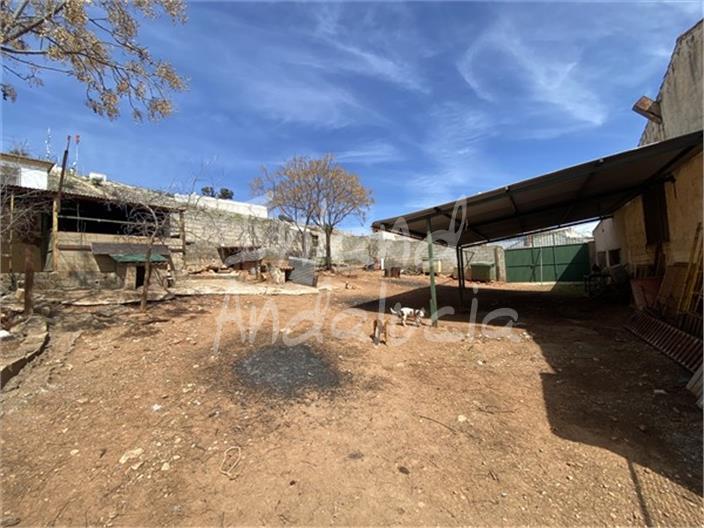 Premise for Sale in Íllora