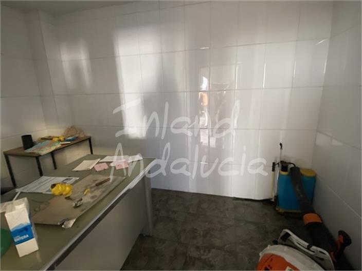 Premise for Sale in Íllora