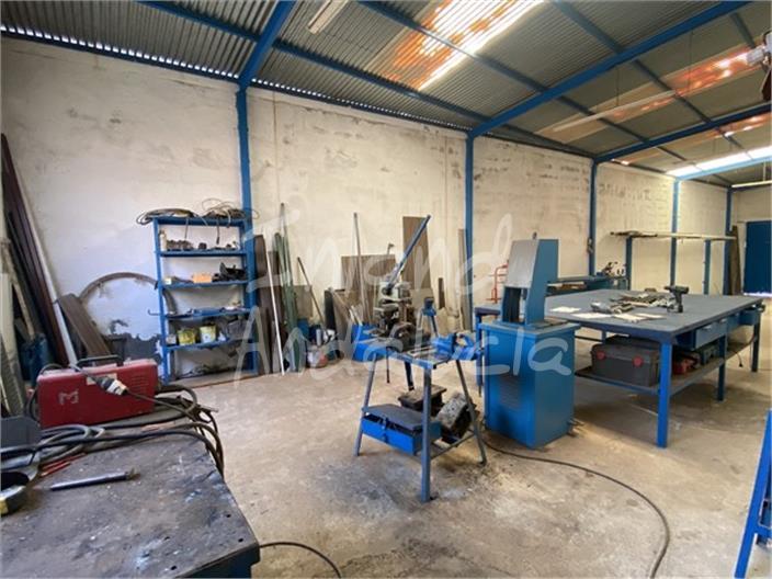 Premise for Sale in Íllora