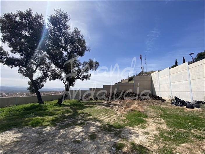 Parcela en Venta en Íllora