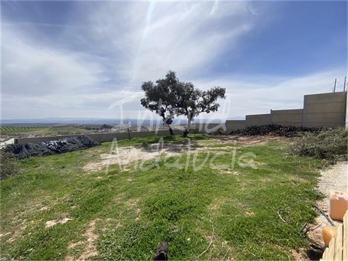 Parcela en Venta en Íllora