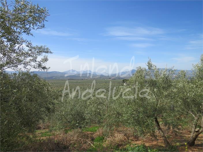 Villa en Venta en Alcaudete