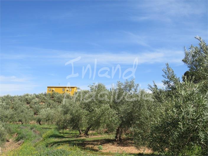 Villa en Venta en Alcaudete