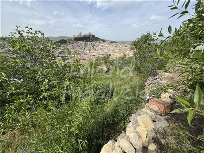 Casa en Venta en Alcalá la Real