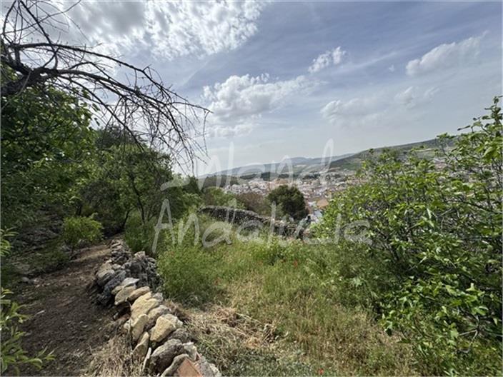 Casa en Venta en Alcalá la Real