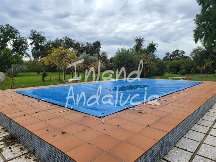 Villa for Sale in Marchena