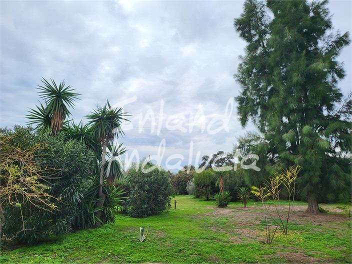 Villa for Sale in Marchena