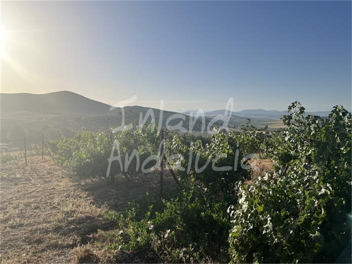 Villa for Sale in Alcalá la Real