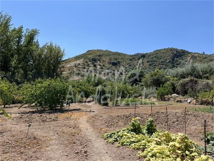 Villa for Sale in Castillo de Locubín