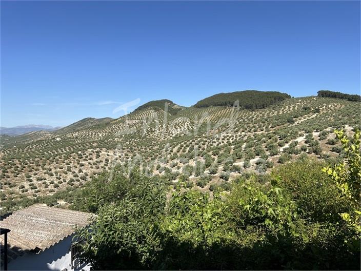 Villa for Sale in Alcalá la Real