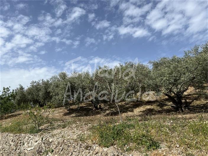 Villa for Sale in Castillo de Locubín