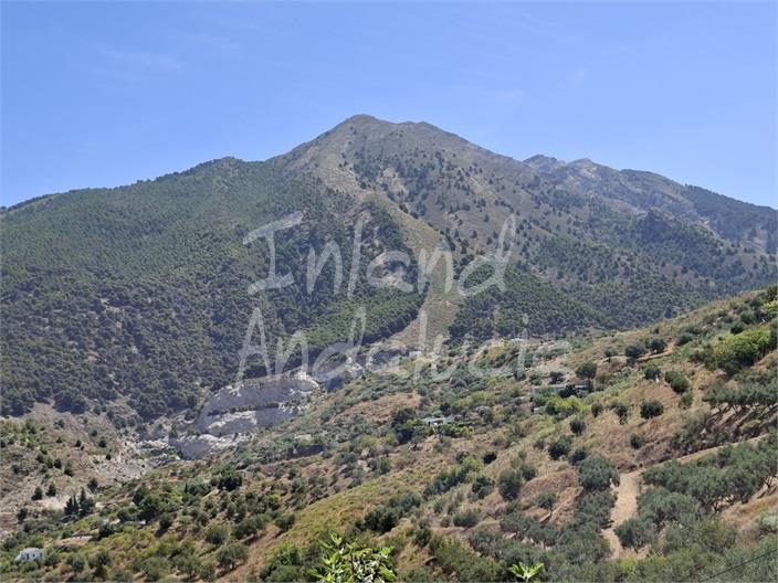 Chalet for Sale in Alcaucín