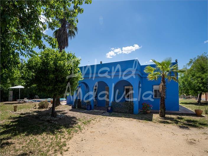Villa for Sale in Marchena