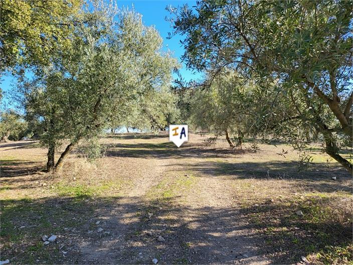 Villa en Venta en Montefrío