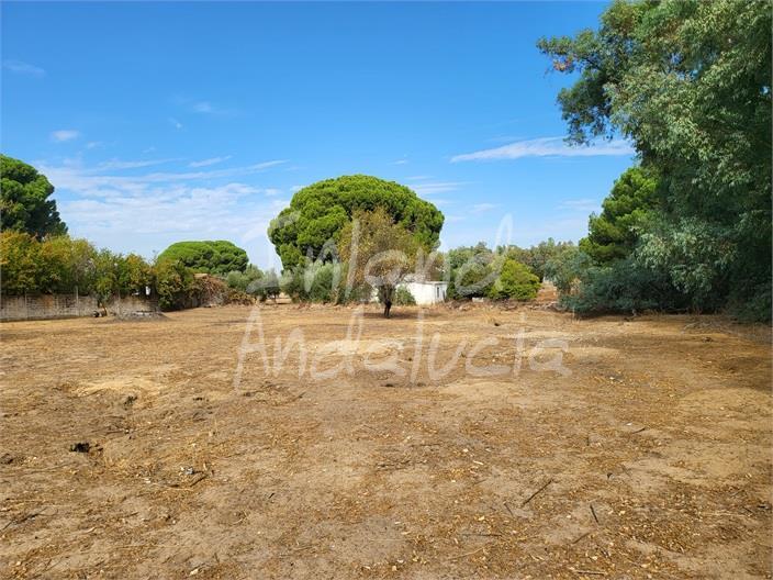 Villa en Venta en Marchena