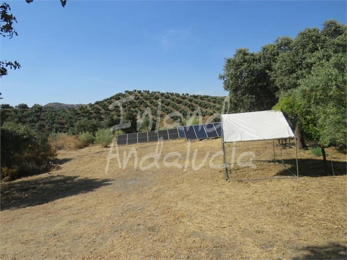 Chalet for Sale in Andújar