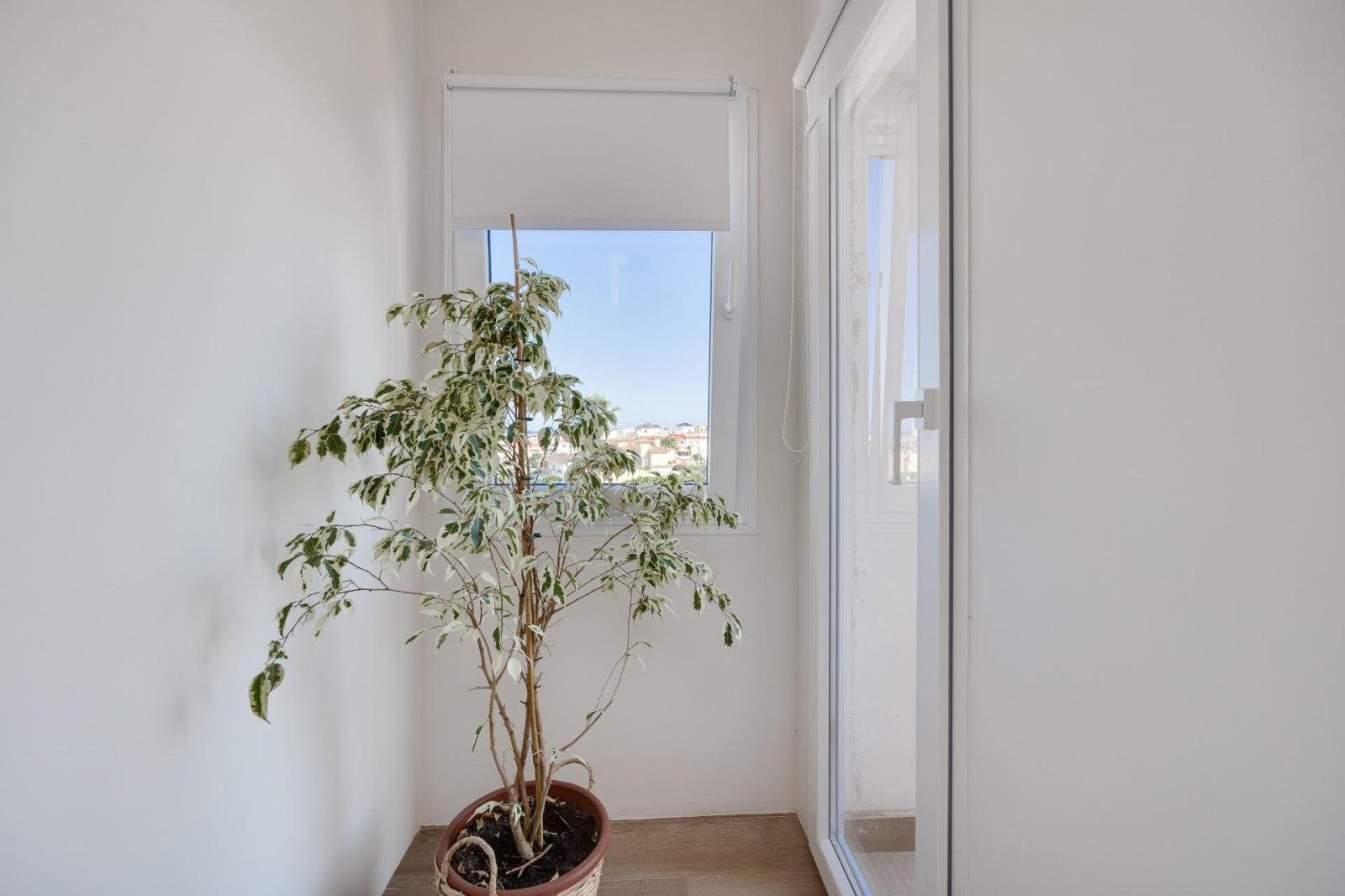 Chalet en Alquiler en Torrevieja