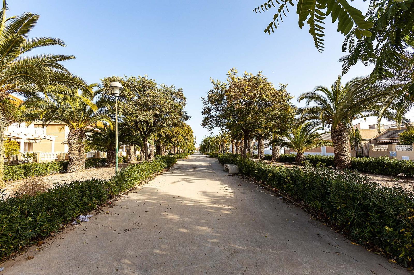 Ático en Venta en Pilar de la Horadada
