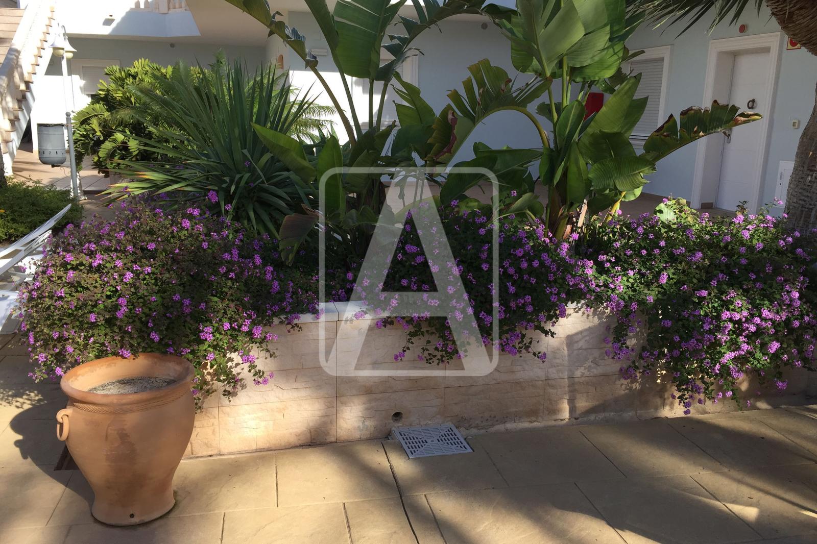 Apartment for Sale in Benissa