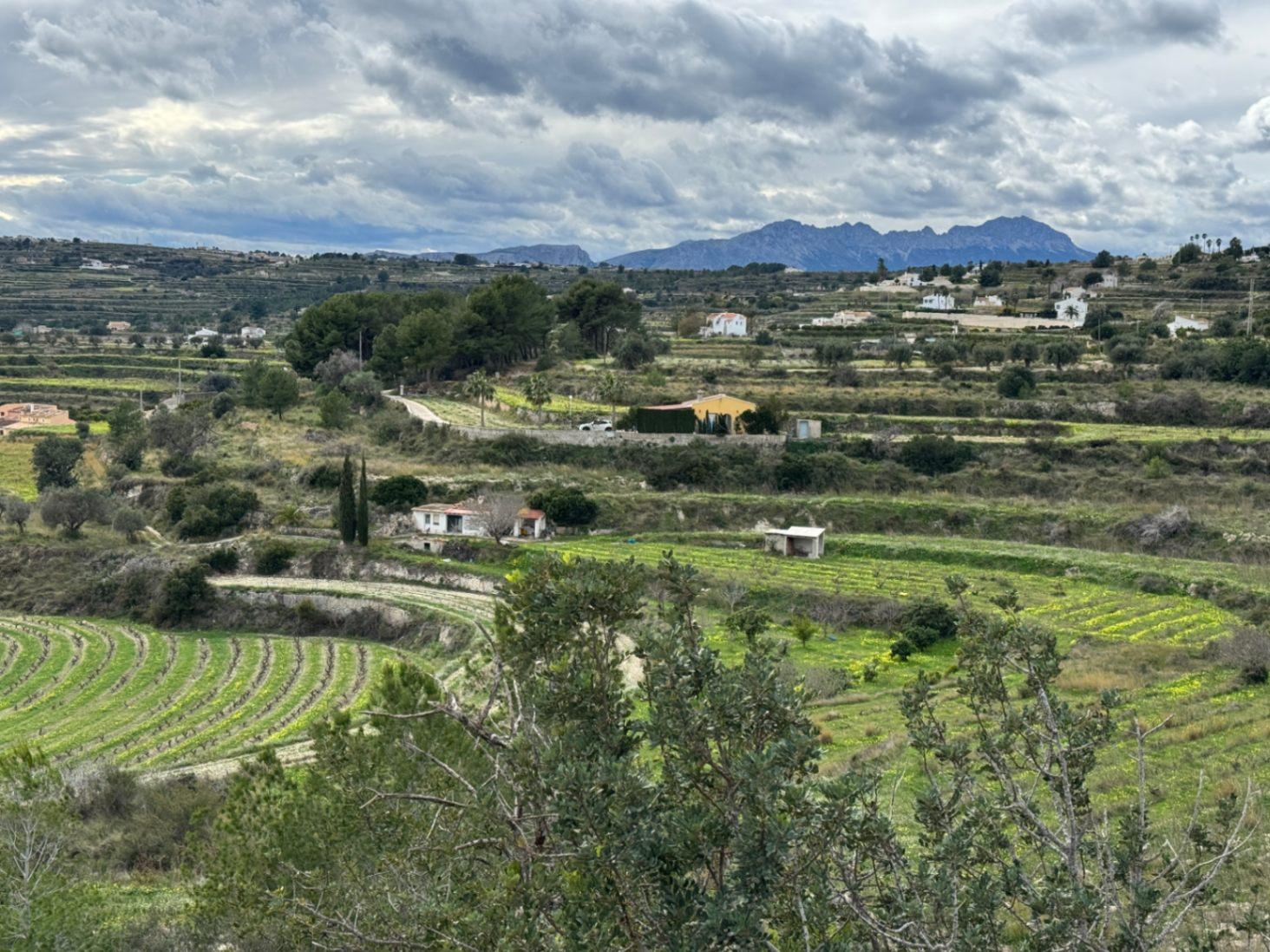 Parcela en Venta en Teulada