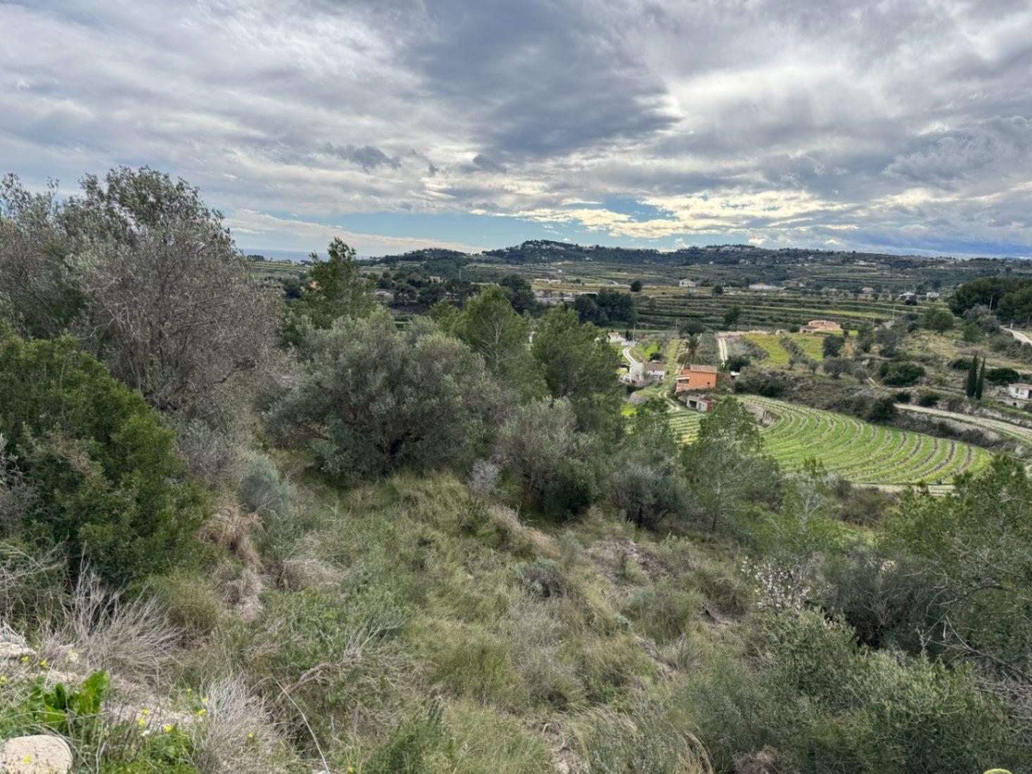 Parcela en Venta en Teulada