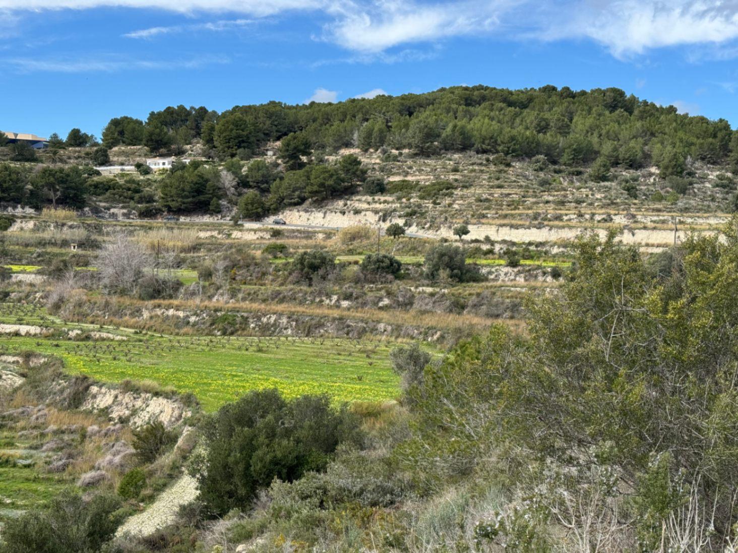 Parcela en Venta en Teulada